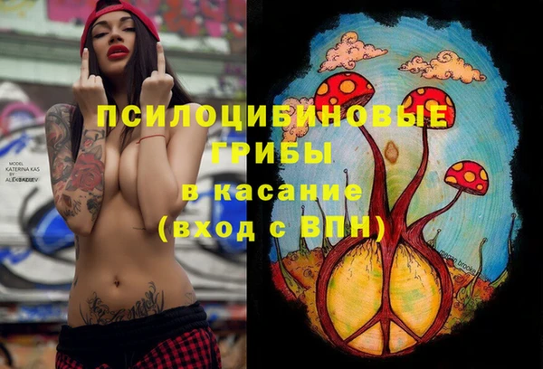 PSILOCYBIN Медногорск