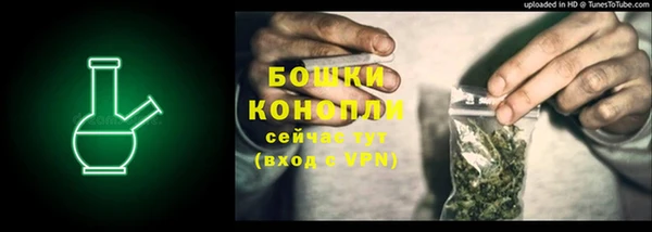PSILOCYBIN Медногорск