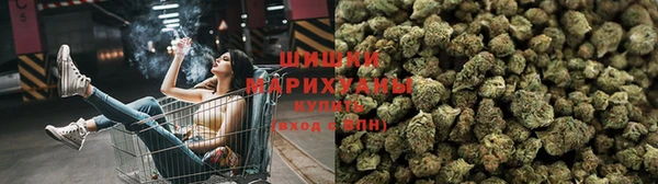 PSILOCYBIN Медногорск
